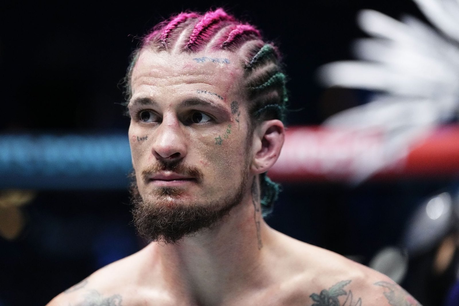 Sean O'Malley's Net Worth