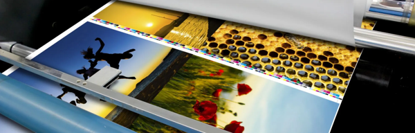 Efficiency and Brand Visibility